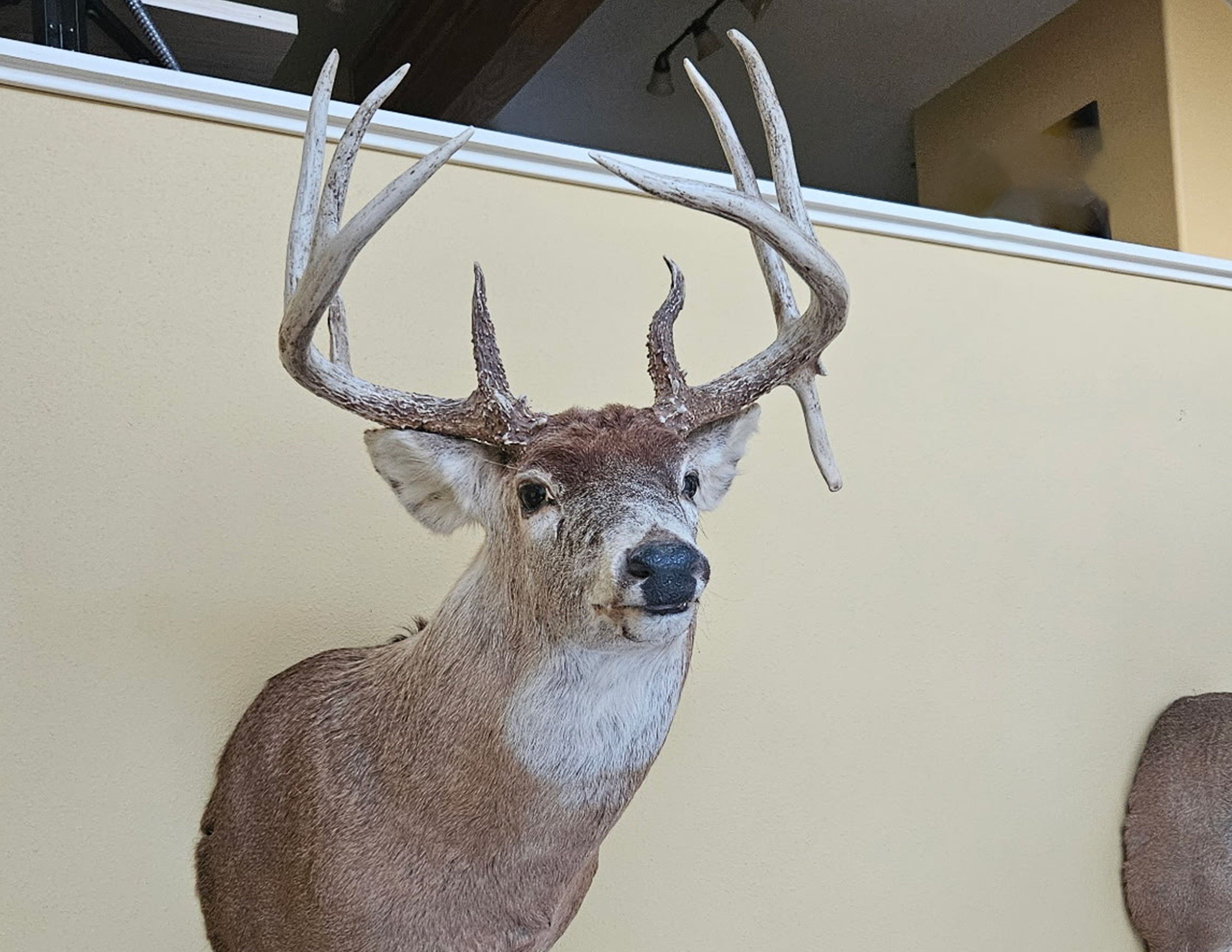 Listing Photo: 18159-Drop Buck Gaeta-2